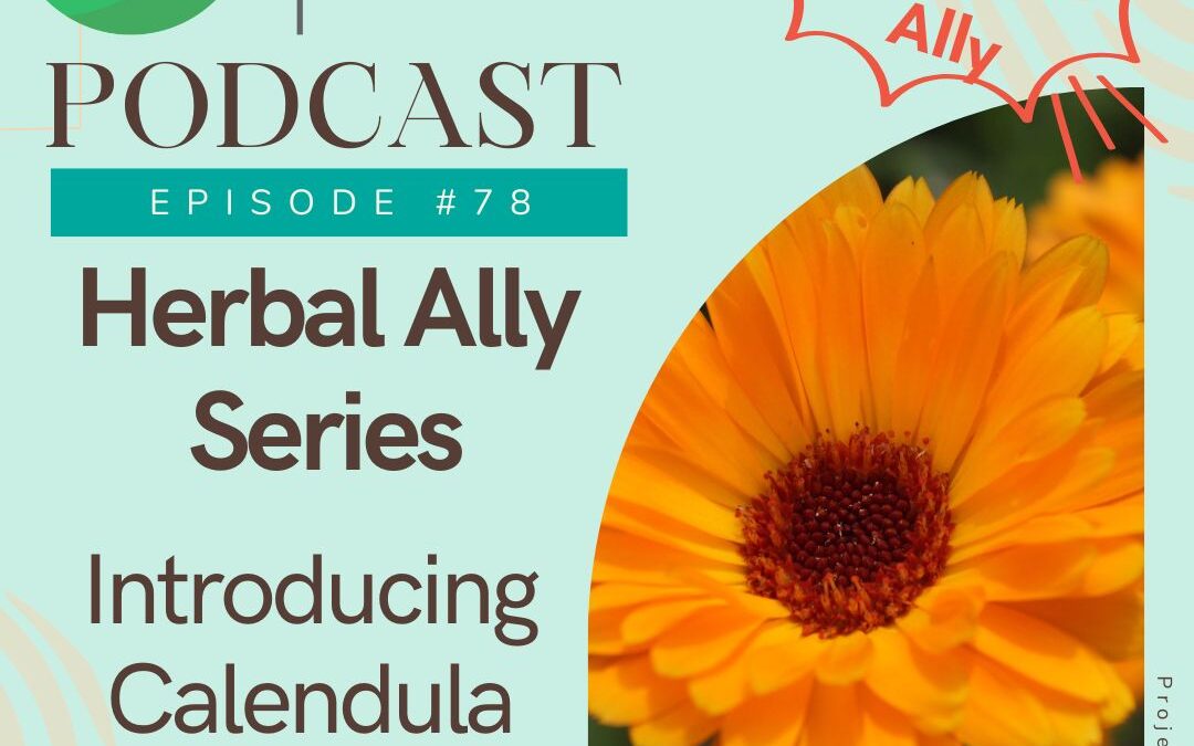 Herbal Ally Series – Introducing Calendula